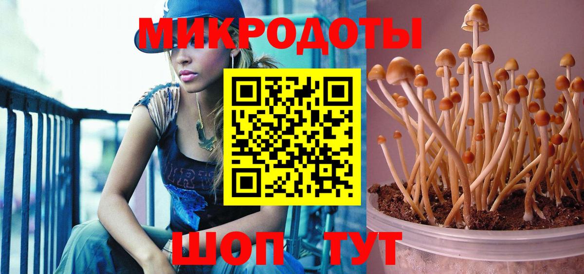 что такое   Вход с VPN  Алексин  Галлюциногенные грибы ЛСД  Псилоцибиновые грибы ЛСД 