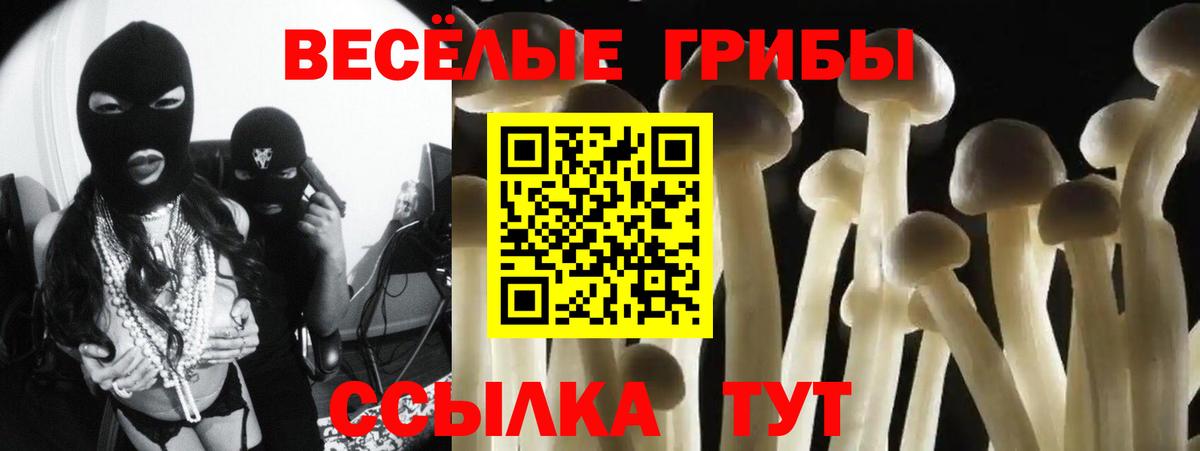 Галлюциногенные грибы Magic Shrooms Алексин